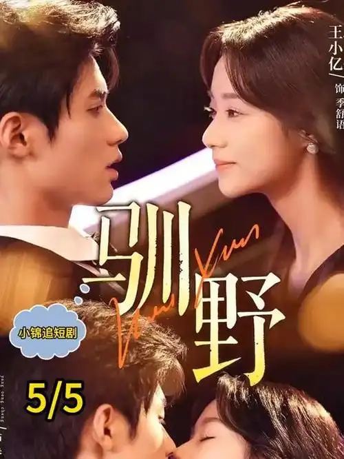 回声巷十一号 热播剧集全集在线观看